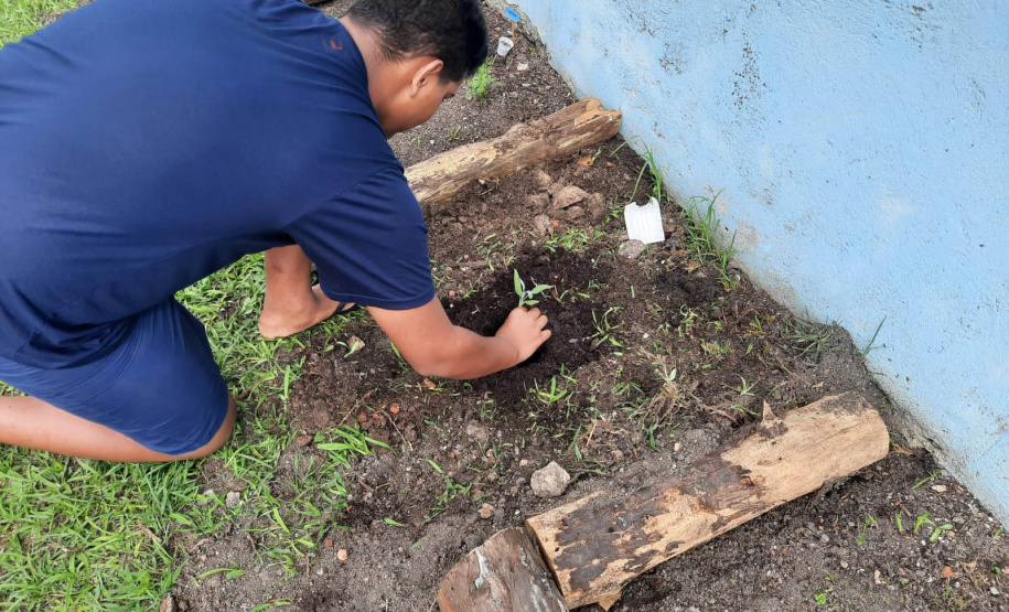 Governo do Estado recebe prêmio máximo no Prêmio “Prioridade Absoluta” do Conselho Nacional de Justiça (CNJ)
