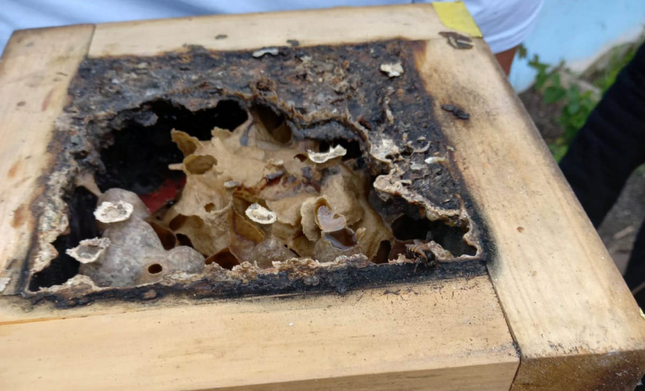 Governo do Estado recebe prêmio máximo no Prêmio “Prioridade Absoluta” do Conselho Nacional de Justiça (CNJ)