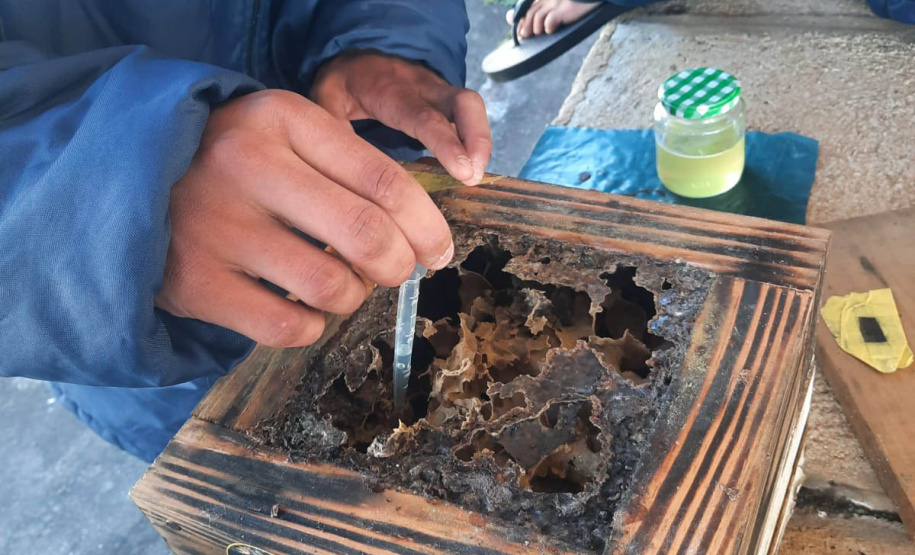 Governo do Estado recebe prêmio máximo no Prêmio “Prioridade Absoluta” do Conselho Nacional de Justiça (CNJ)