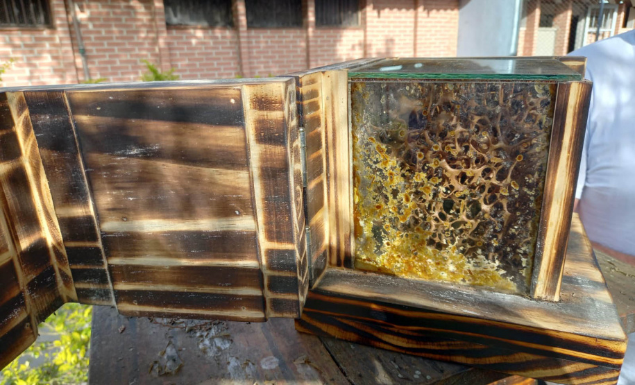 Governo do Estado recebe prêmio máximo no Prêmio “Prioridade Absoluta” do Conselho Nacional de Justiça (CNJ)