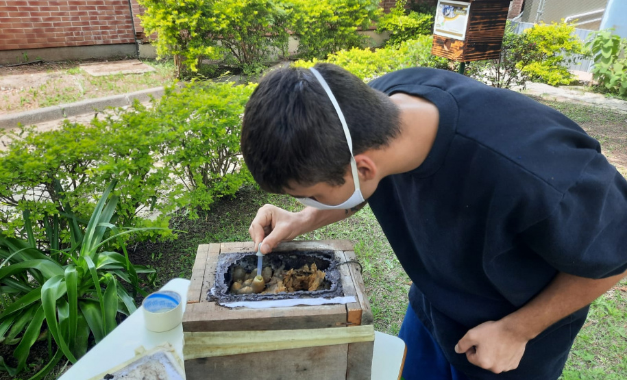 Governo do Estado recebe prêmio máximo no Prêmio “Prioridade Absoluta” do Conselho Nacional de Justiça (CNJ)