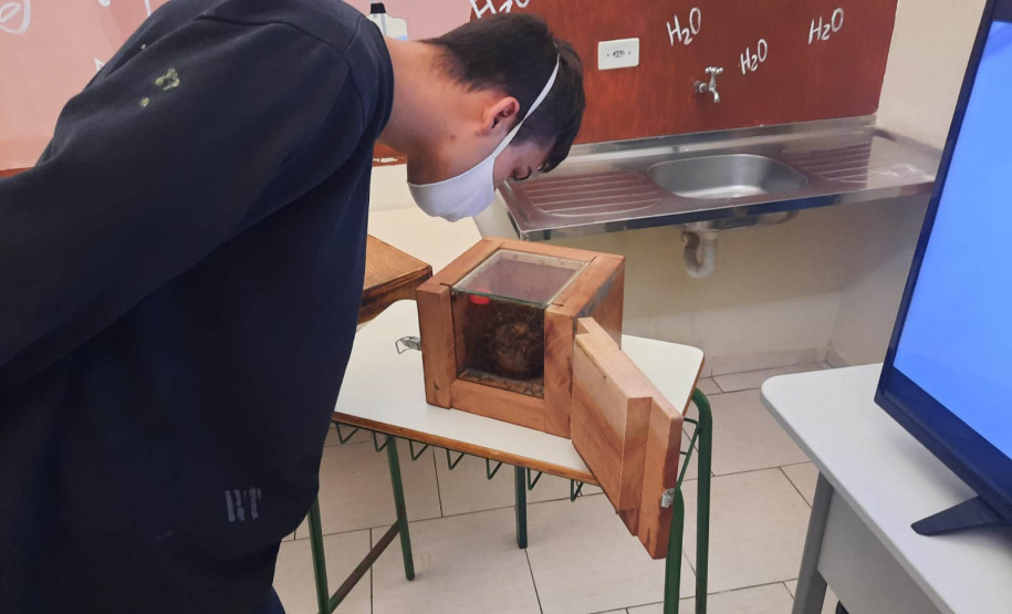 Governo do Estado recebe prêmio máximo no Prêmio “Prioridade Absoluta” do Conselho Nacional de Justiça (CNJ)