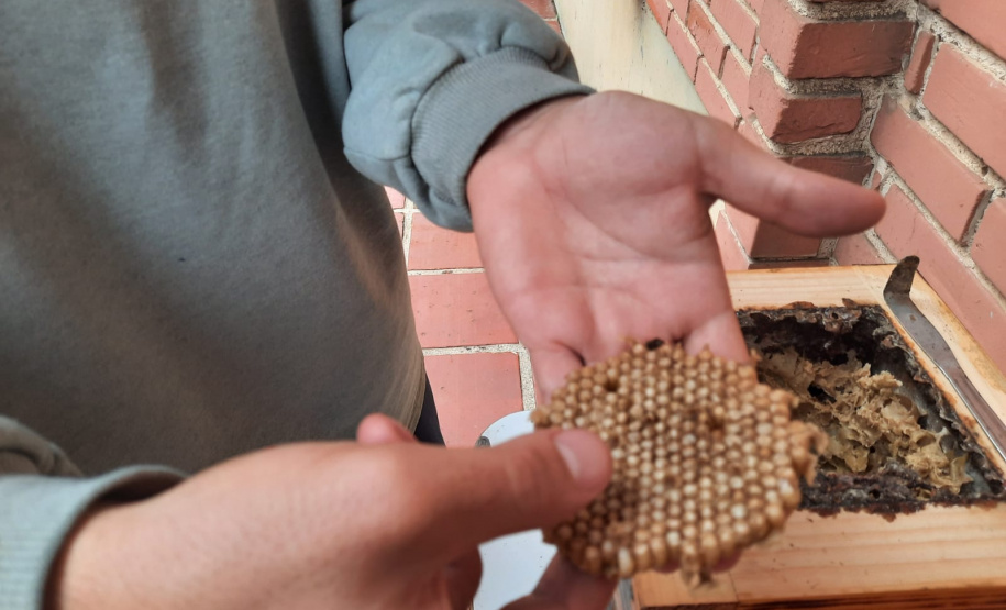 Governo do Estado recebe prêmio máximo no Prêmio “Prioridade Absoluta” do Conselho Nacional de Justiça (CNJ)