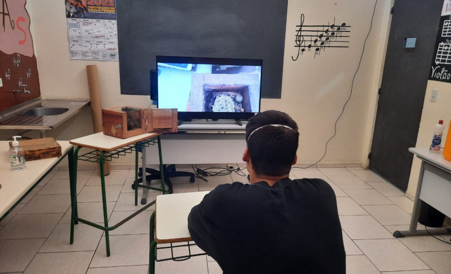 Governo do Estado recebe prêmio máximo no Prêmio “Prioridade Absoluta” do Conselho Nacional de Justiça (CNJ)