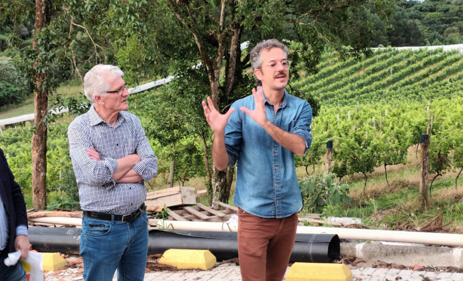 Revitalização da vitivinicultura paranaense é ressaltada em evento internacional