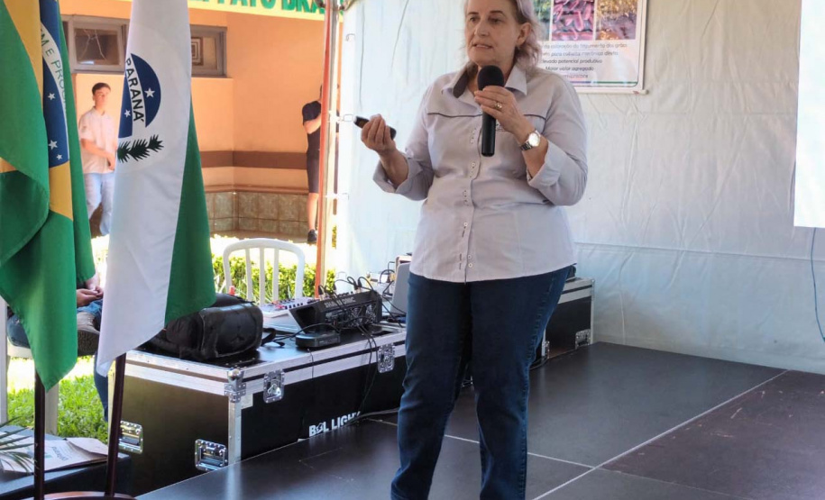IDR-Paraná lança nesta terça-feira nova cultivar de feijão em Pato Branco