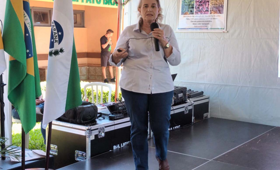 IDR-Paraná lança nesta terça-feira nova cultivar de feijão em Pato Branco