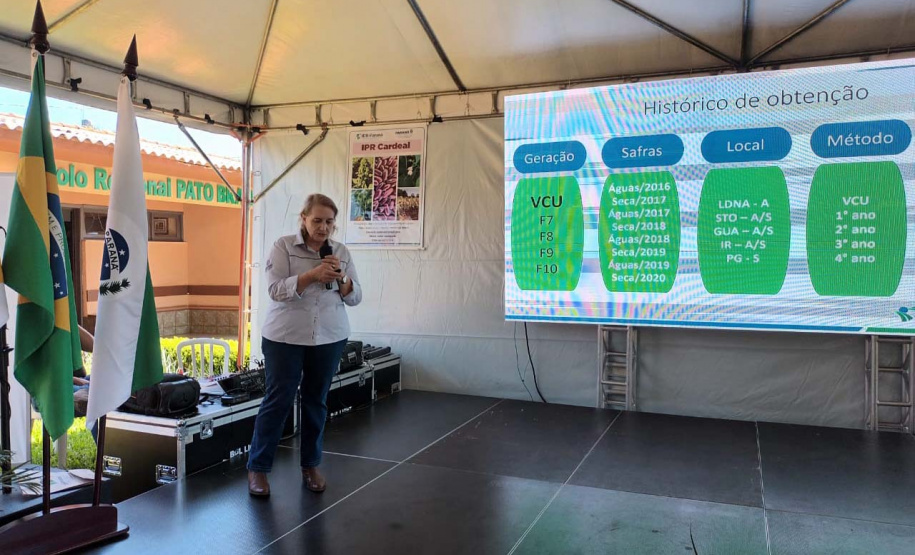 IDR-Paraná lança nesta terça-feira nova cultivar de feijão em Pato Branco