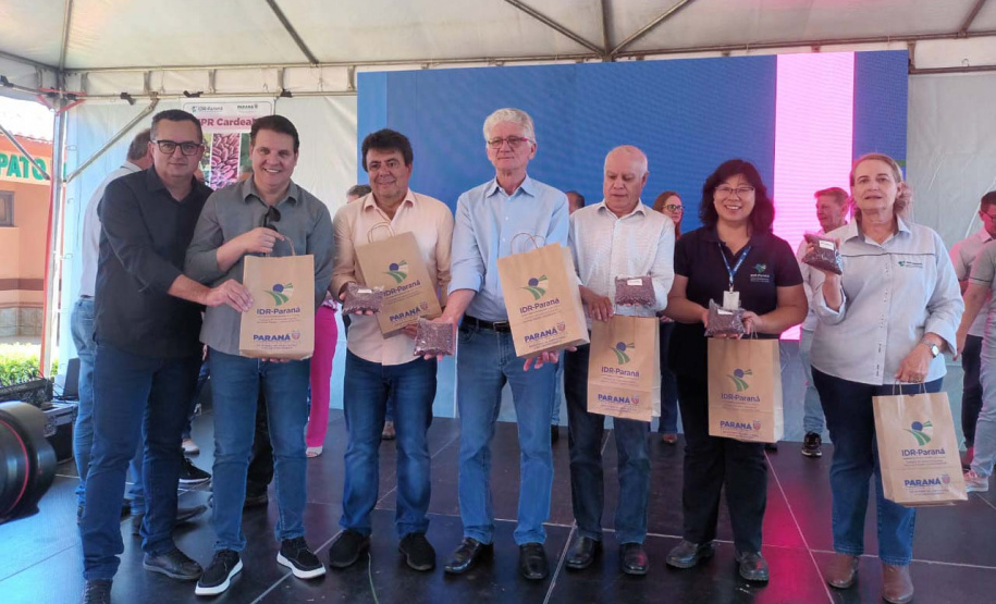 IDR-Paraná lança nesta terça-feira nova cultivar de feijão em Pato Branco