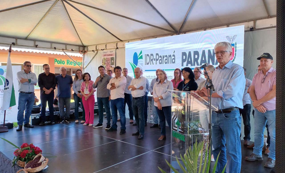 IDR-Paraná lança nesta terça-feira nova cultivar de feijão em Pato Branco