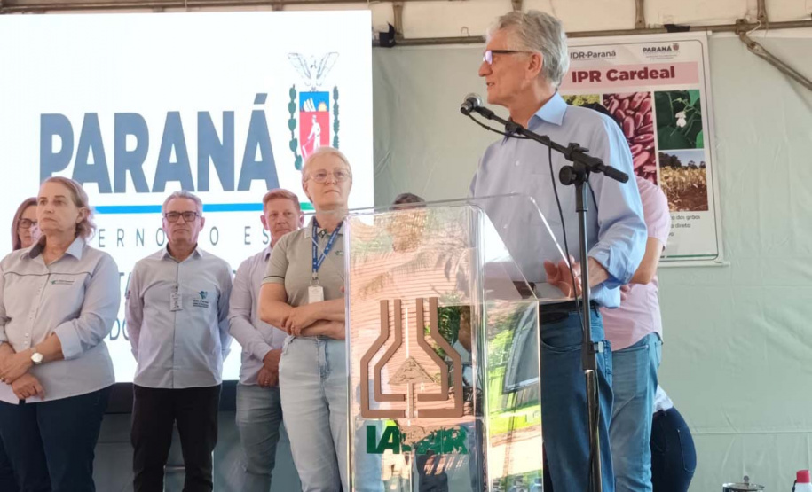 IDR-Paraná lança nesta terça-feira nova cultivar de feijão em Pato Branco
