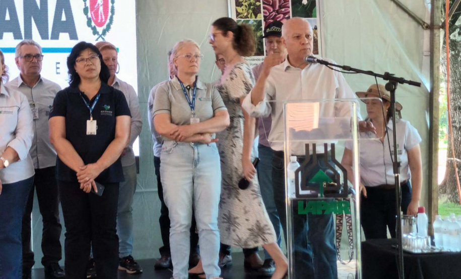 IDR-Paraná lança nesta terça-feira nova cultivar de feijão em Pato Branco