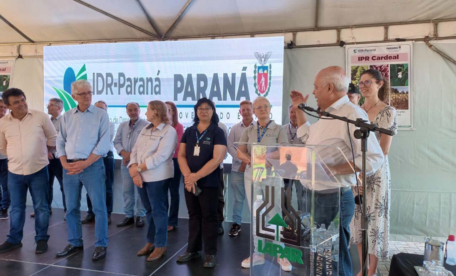 IDR-Paraná lança nesta terça-feira nova cultivar de feijão em Pato Branco