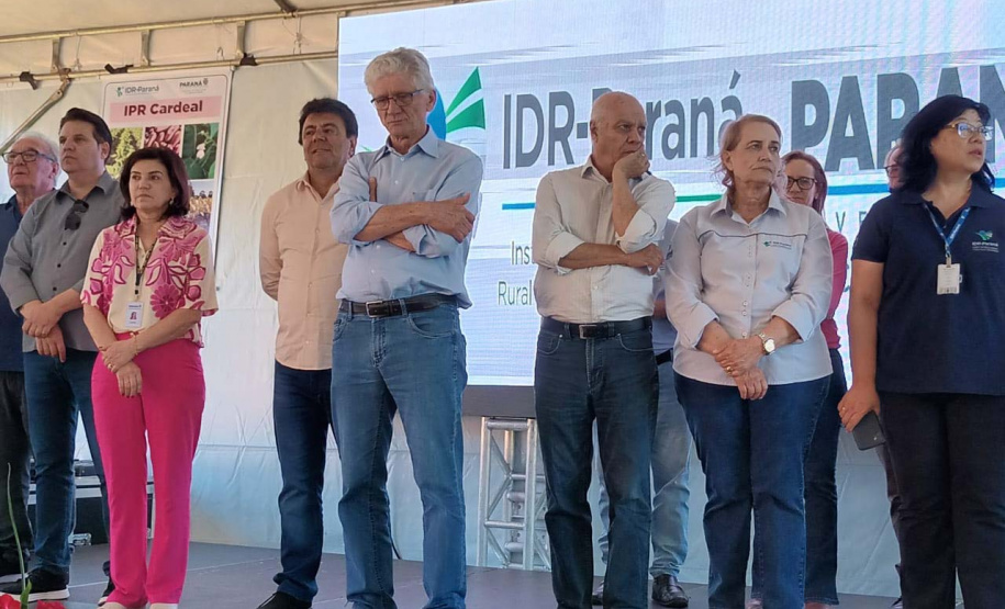 IDR-Paraná lança nesta terça-feira nova cultivar de feijão em Pato Branco