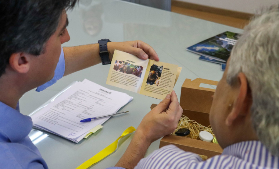 Assinatura do Termo de Cooperação Técnica entre Senar-Pr e Sedest. Foto: Patryck Madeira