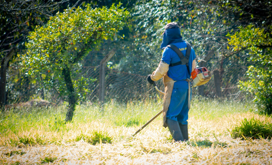 Educação e ressocialização: programa Mãos Amigas vira lei estadual
