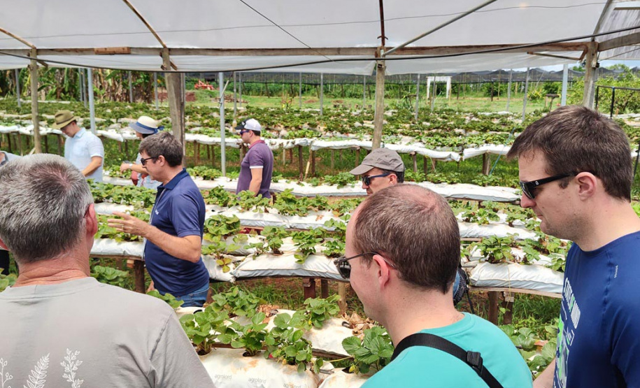 Turismo rural técnico-científico do Paraná atrai grupo de 26 produtores franceses