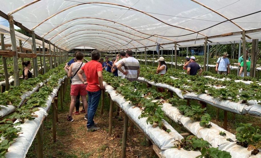 Turismo rural técnico-científico do Paraná atrai grupo de 26 produtores franceses