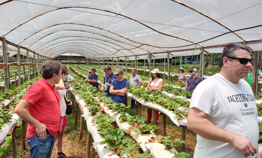 Turismo rural técnico-científico do Paraná atrai grupo de 26 produtores franceses