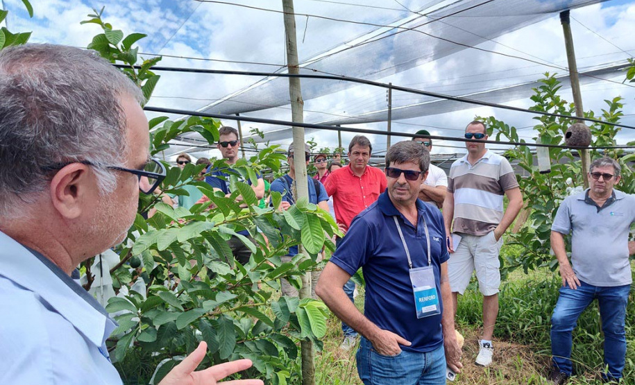 Turismo rural técnico-científico do Paraná atrai grupo de 26 produtores franceses