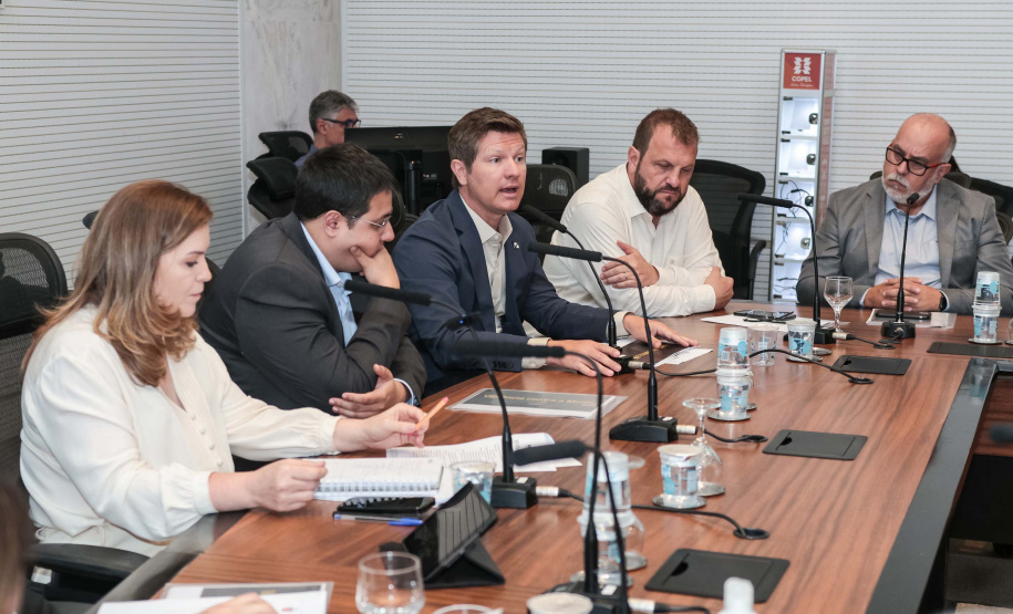 SEMIPI COMITÊ ENFRENTAMENTO VIOLENCIA CONTRA MULHERES