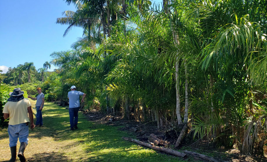 Produção rural e agroindústria transformam vida de família no litoral