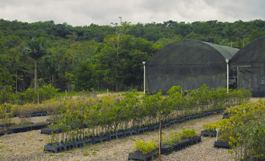 IAT VIVEIRO MORRETES