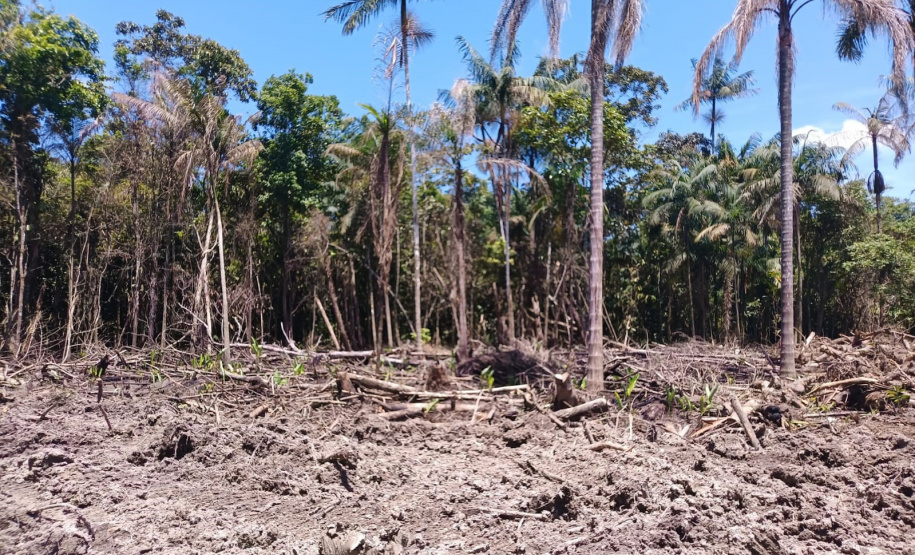 IAT DESMATAMENTO LITORAL