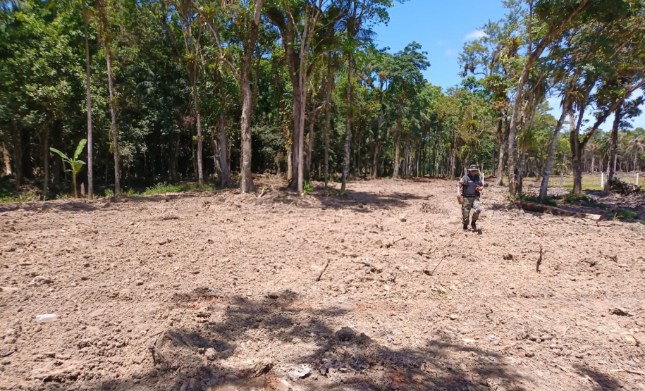 IAT DESMATAMENTO LITORAL