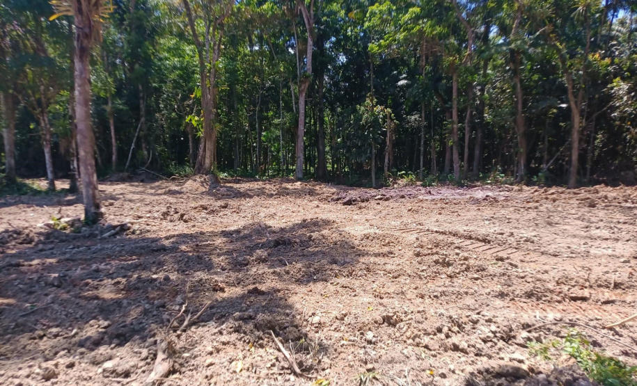 IAT DESMATAMENTO LITORAL