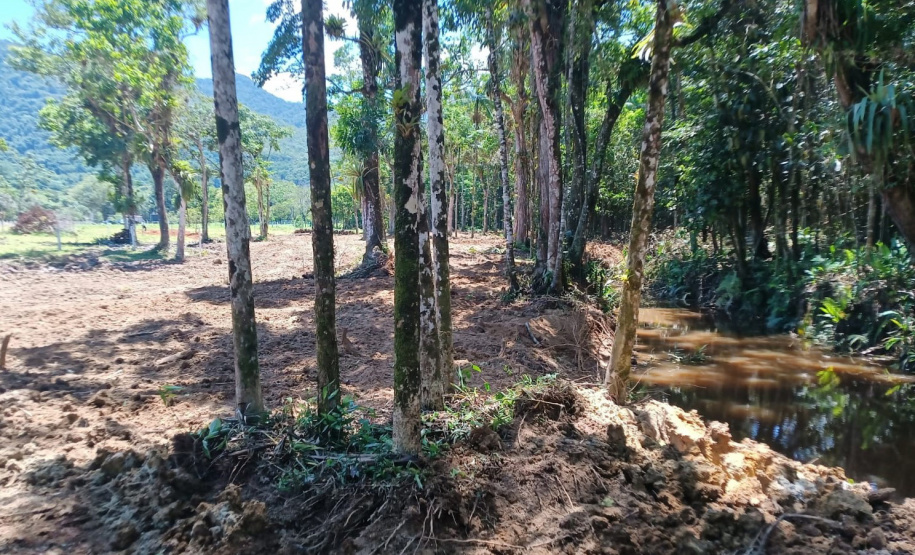 IAT DESMATAMENTO LITORAL