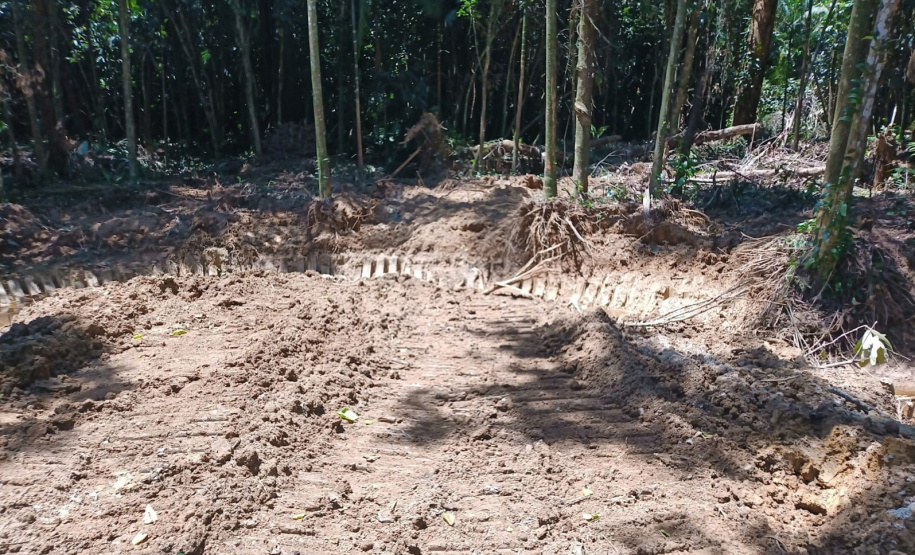 IAT DESMATAMENTO LITORAL