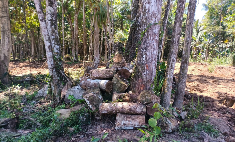 IAT DESMATAMENTO LITORAL