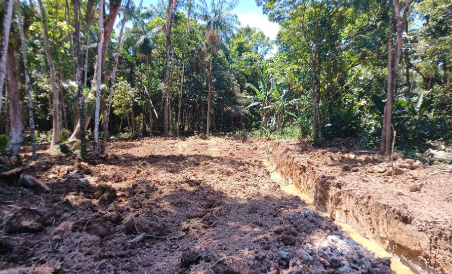 IAT DESMATAMENTO LITORAL