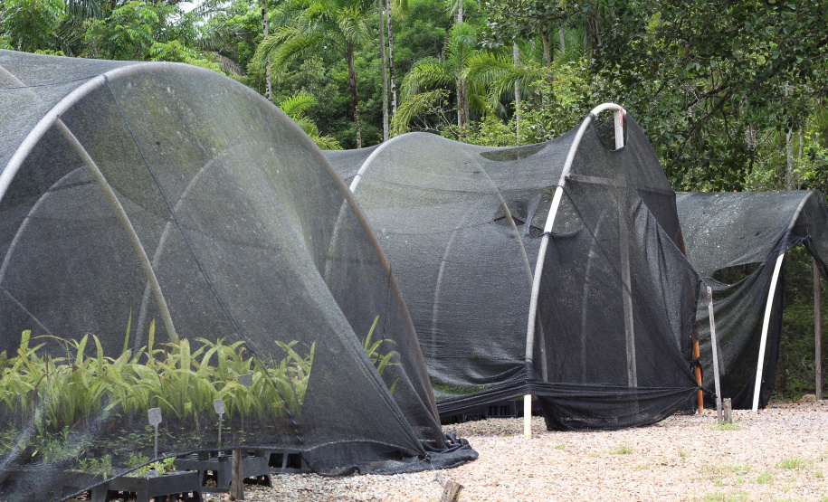 IAT VIVEIRO MORRETES