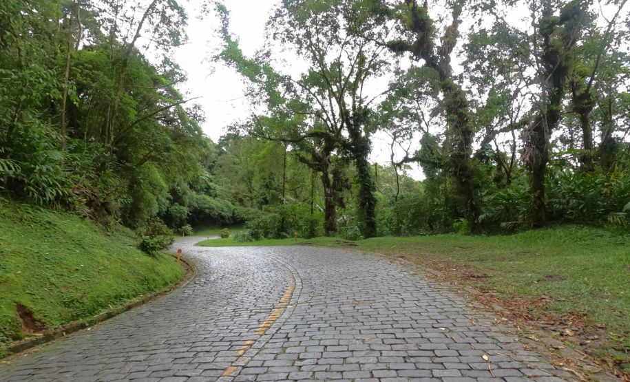 DER ESTRADA GRACIOSA