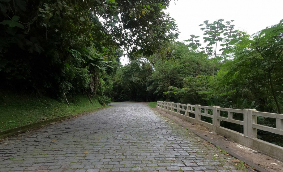 DER ESTRADA GRACIOSA