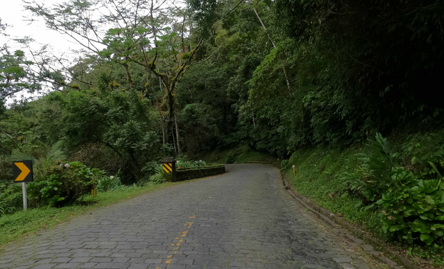 DER ESTRADA GRACIOSA