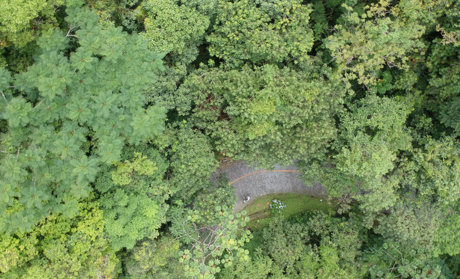 AREA DE RISCO GRACIOSA