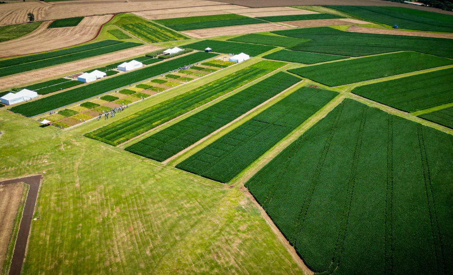 Copacol inicia 33º Dia de Campo; Norberto Ortigara marca presença no CPA