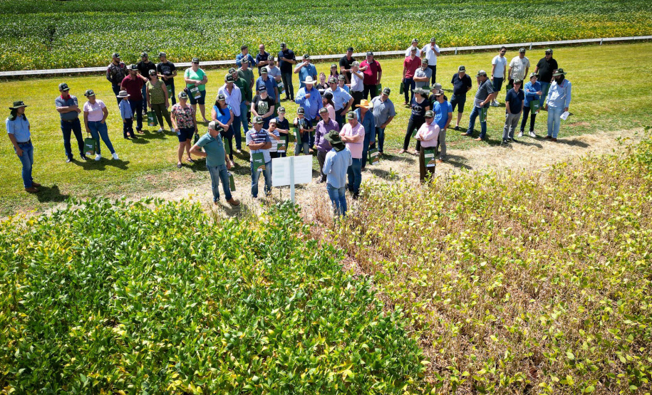Copacol inicia 33º Dia de Campo; Norberto Ortigara marca presença no CPA