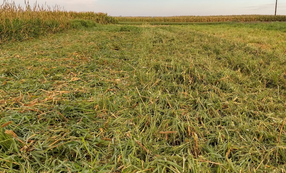 MANEJO SOLOS SHOW RURAL
