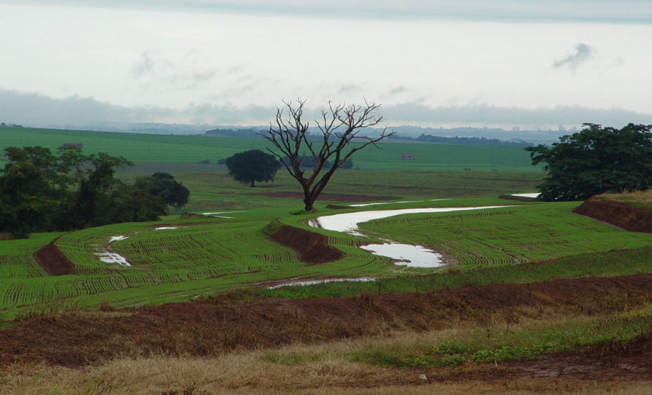 MANEJO SOLOS SHOW RURAL