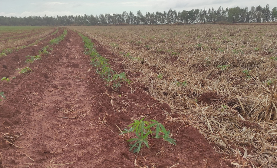 MANEJO SOLOS SHOW RURAL