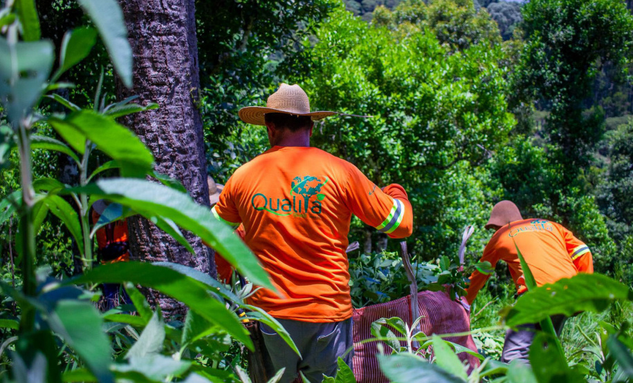 Projeto de erva mate orgânica financiado pelo BRDE expande fronteiras e recebe certificações internacionais