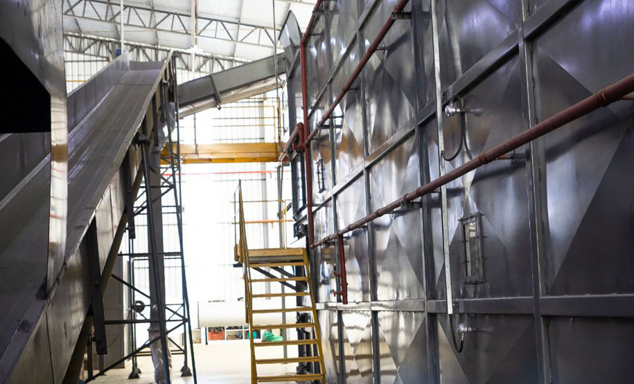 Projeto de erva mate orgânica financiado pelo BRDE expande fronteiras e recebe certificações internacionais