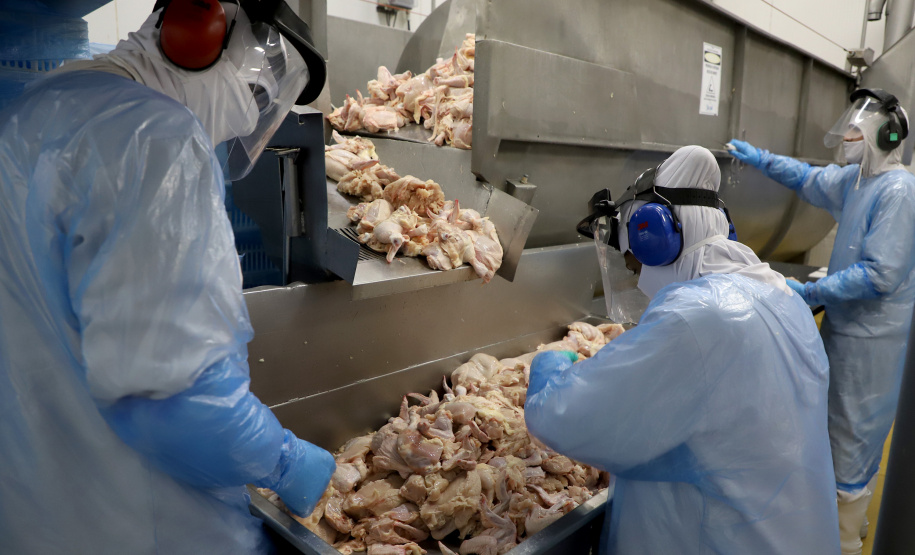 EXPORTAÇÕES PARANAENSES CRESCEM