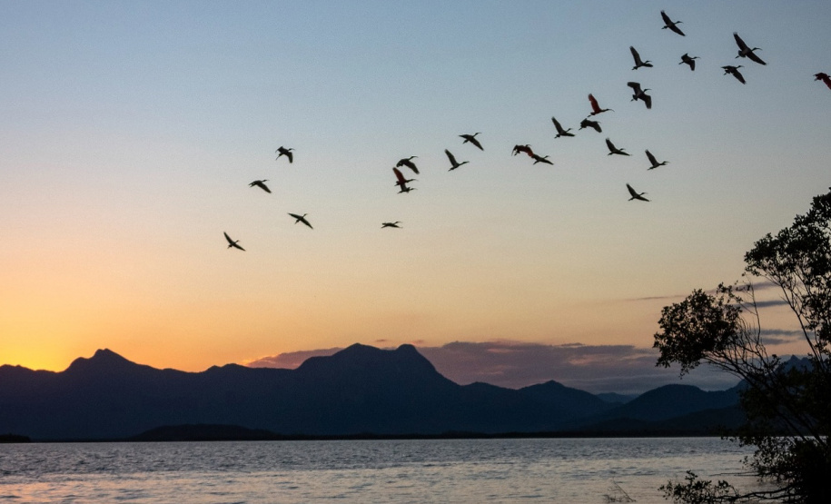 IAT GUARÁS GUARATUBA