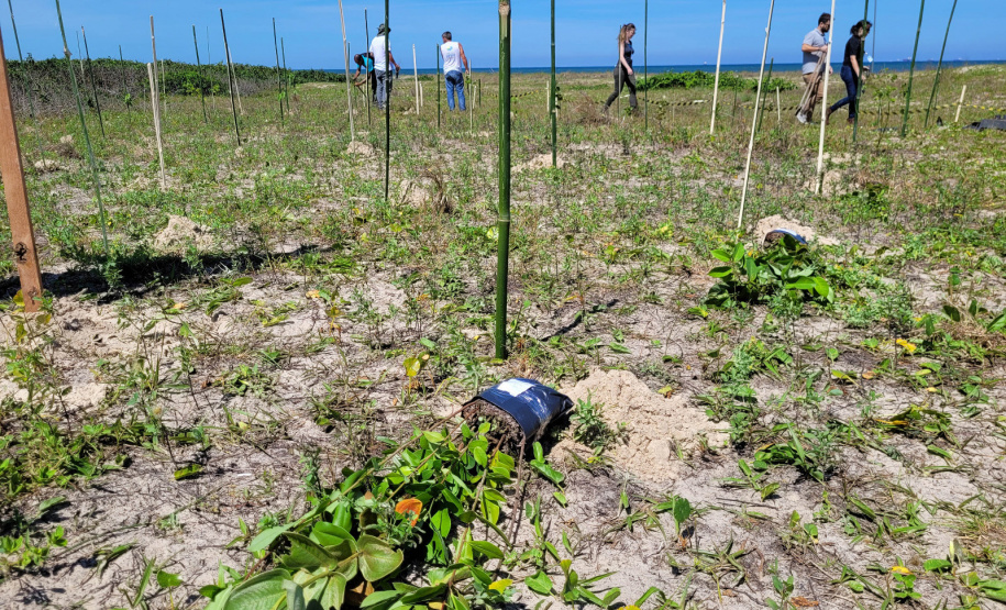 IAT VIVEIRO MORRETES