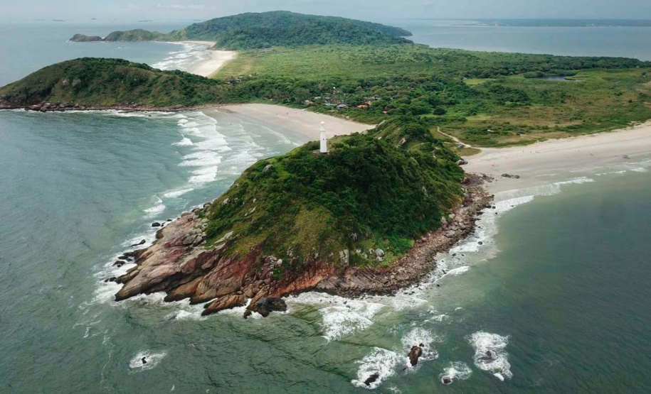IAT promove observação de aves guiada na Ilha do Mel